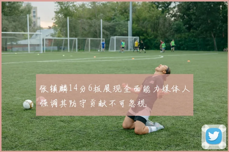 张镇麟14分6板展现全面能力媒体人强调其防守贡献不可忽视